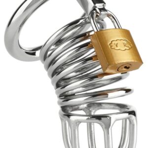 Mr.Steel Ring Master klec na penis