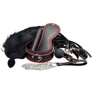 Erospace BDSM set Wild Play C8