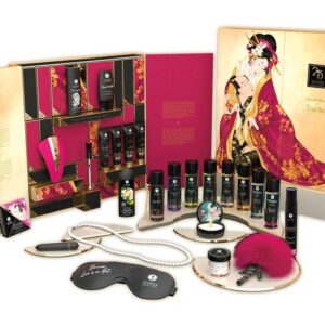 Shunga Exclusive 25-th anniversary desires calendar